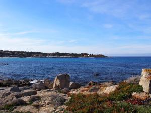 Appartements Appartement DOLCE 9 Lumio : photos des chambres