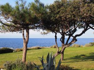 Appartements Appartement DOLCE 9 Lumio : Appartement 1 Chambre