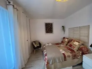 Charmant logement entre mer et montagne idéal pour cure thermale - 泰克河畔阿尔莱