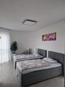 Ferienwohnung Alona - 诺伊恩比尔格