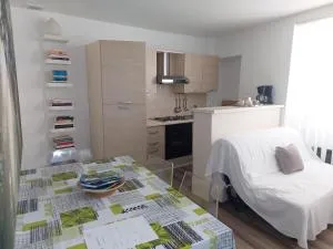 Renoncule - Briançonnet