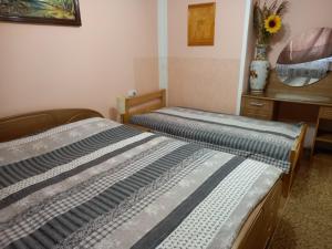 Apartment Jorsi with Mountain View 