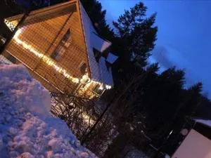 Dom pod Złotą Łyżwą - Krynica-Zdrój