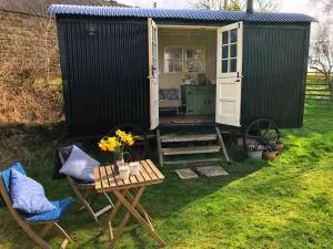 shepherd hut glamping in Northumberland - Belsay