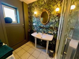 Maisons d'hotes Chateau le Withof : photos des chambres