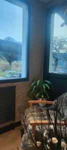 Hotels Logis Hotel Les Playes : photos des chambres