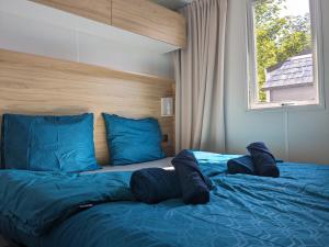 Cozy Tiny SolHouse 7 - Near Groningen - 5 Star Location