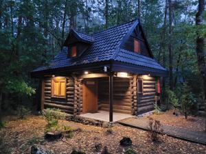 Klimatyczne Domki - Całoroczne