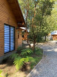 Cabañas Entre Árboles Pucón