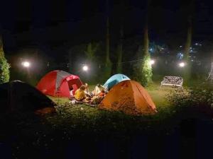 Wong Deso Camping