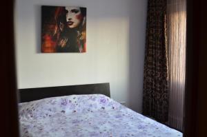 Vila cu trandafiri Cozy Apartments 2 camere