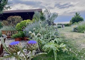 Appartements Gite - LA CLOCHETTE : photos des chambres