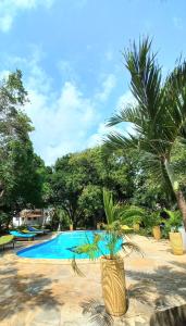 Bamba Kofi Beach Lodge