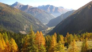 Alpengasthof Gutenbrunn