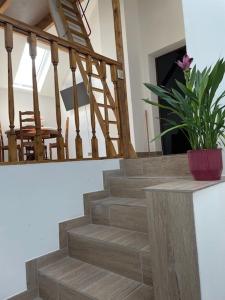 Appartement Lavande - 6 pers avec mezzanine