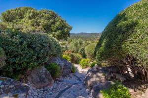 Villas Residence Les Toits de Santa Giulia : photos des chambres