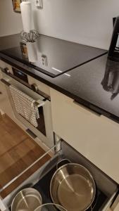 Cozy Apartment near Aura river