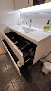 Riverside apartment with french balcony