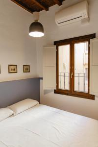 Big apartment near Piazza Santo Spirito