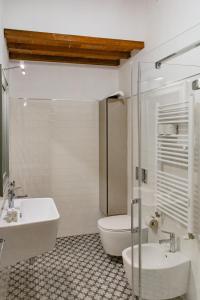 Big apartment near Piazza Santo Spirito