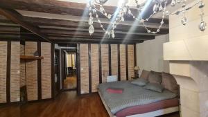 Maisons de vacances HYPER HYPER CENTRE MAISON ENTIERE DE 150 m2 QUARTIER HISTORIQUE DE TOURS a 25 metres DE LA CELEBRE PLACE PLUMEREAU pour 2 a 7 Personnes : photos des chambres