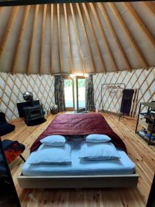 Glamping jurty Czapla