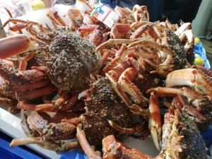 Appartements Sweet home en plein coeur de Quimper : photos des chambres