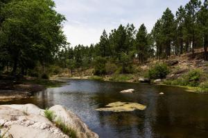 Alojamiento frente al Arroyo Cristal