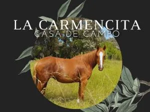 La Carmencita casa de campo, Manzanares, Pilar - Torres