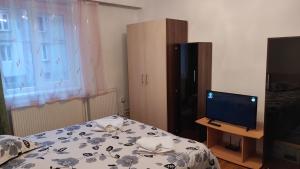 Apartament Central