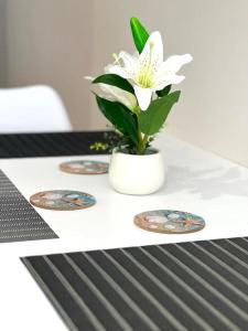 Golem Cozy Heaven Apartment