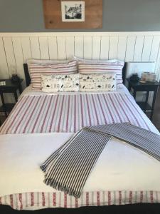 iKlektik House Robin