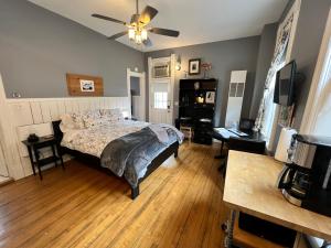 iKlektik House Robin