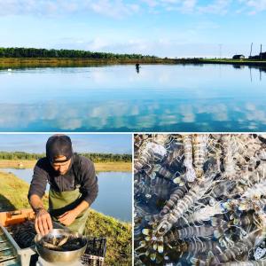 Maisons de vacances Boinot Lodge : photos des chambres