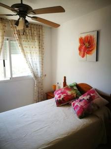 Nice accommodation with pool and side sea view