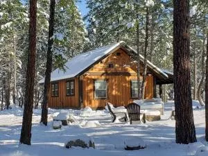 Whispering Pines cabins - Rollins
