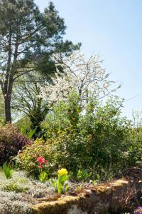 Les Quatre Vents photo 9
