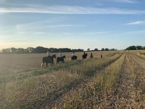 Reihenhaus Geltinger Bucht