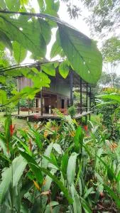 Amazona Lodge - Nazareth