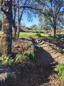 Alojamento Casa do Cabeço Alombada