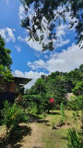 Amazona Lodge