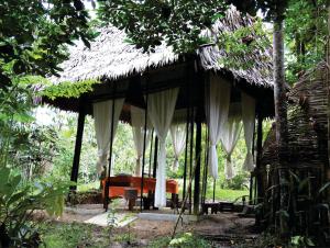 Amazona Lodge