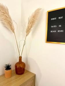 Le Mirror- hyper centre ville