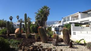 Ferienwohnung mit Dachterrasse, mehreren Pools, Garten und viel Ruhe