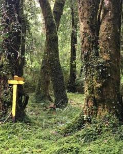 La Bella Patagonia Eco Lodge, Figueroa River
