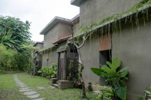 Dukuh Ubud Villa #4 Ricefield View
