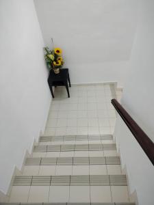 CMN Hotel & Homestay