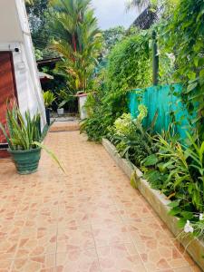 White Villa