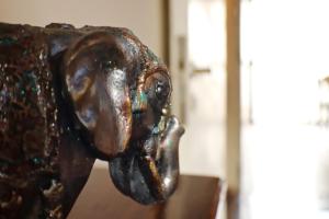 "MENDOZA Tu refugio espacioso en el corazón de MENDOZA y el PARQUE"