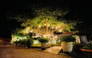 Follow Me designed B&B - Ta-p'o